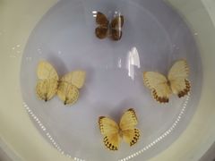 -下渚湖国家湿地公园科普馆