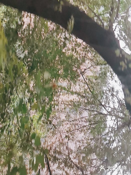 齐王寨景区图片