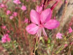 -快活林烧烤(红新路店)