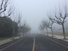 -同济大学(嘉定校区)