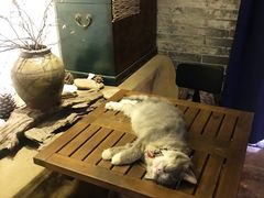 -老屋咖啡