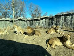 -北京野生动物园