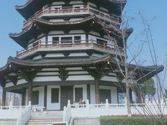 -洋湖国家湿地公园