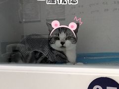 -宠颐生动物医院·心脏科·保险定点(锦阳分院)