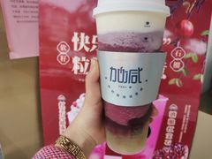 芝士多肉葡萄-加减茶饮(高沙店)