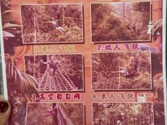 -西双版纳原始森林公园