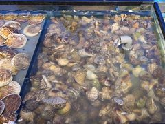 -海天盛宴潮汕蒸汽海鲜高端自助形象店