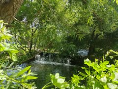 -长白岛森林公园