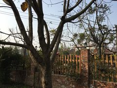 -森居forest休闲咖啡聚集地