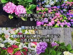 -瑞虹新天地月亮湾