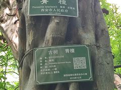 -辋川溶洞