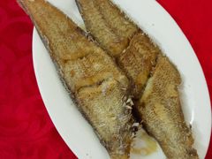 香煎龙利鱼-蛇口康乐快餐鱼仔档(翠苑小区店)