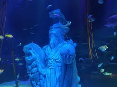 -沈阳海洋探索中心