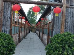 -白洋淀锅里口灶台鱼