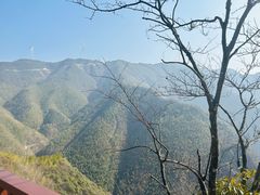 -永州阳明山国家森林公园