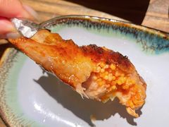 鸡翅饺子-TINY