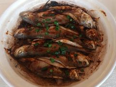-食家鸽园