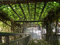 -蓟州溶洞风景区