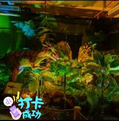 -恐龙探索乐园(磁器口店)
