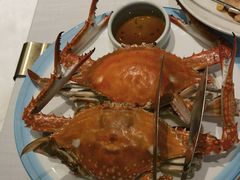 -开海·红岛海鲜虾水饺(石老人店)
