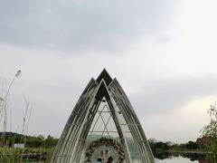 -大塘金香草谷