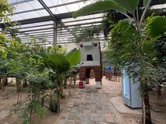 -呀路古热带植物园