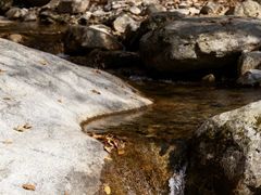 -黑河国家森林公园