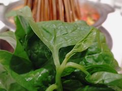 -让签签飞小郡肝串串香(春熙路形象店)