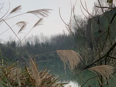 -桤木河湿地公园