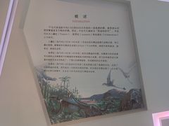 -安徽省地质博物馆