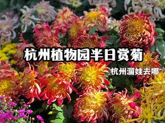 -杭州植物园