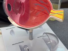 -武汉大学附属爱尔眼科医院(湖北总院)