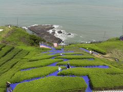 -漳州滨海火山岛自然生态风景区