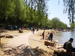 -丁香湖公园