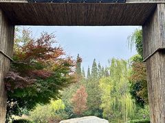 -习家池