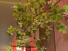 -老太原菜馆(南宫店)