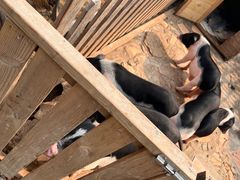 -HERRE·FARM 赫尔露营农场·团建聚会包场