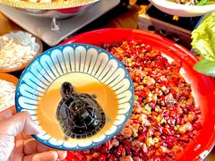 -先启半步颠·川菜小炒