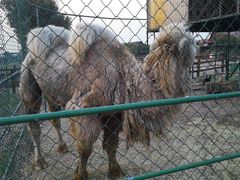 -苏州太湖牛仔风情度假村