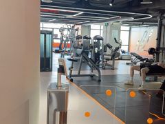 -健身专家Wellness Experts