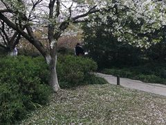 -西湖外事游船(花港观鱼码头)