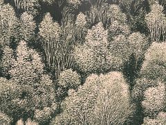 -江苏省美术馆(长江路新馆)