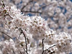 -苏州上方山国家森林公园