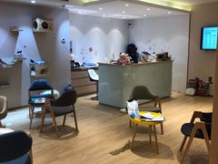 -Pets First伊珊娜洗护·精致美容·家庭式寄养(新会路店)