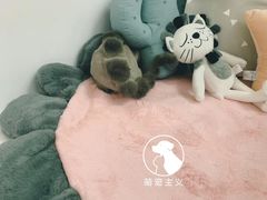 -萌宠主义宠物生活馆(金山路店)