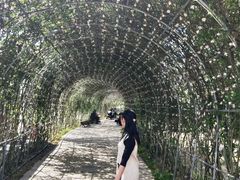 -秀丽东方
