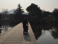 -白马涧龙池景区