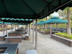 -春花秋色城市公园