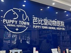 -芭比堂动物医院·24小时·眼科中心(深圳中心)