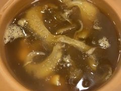-大中鱼翅 Taitong Shark Fin